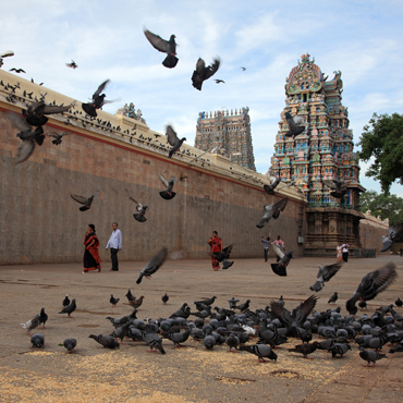 Madurai Fort | Top 10 India