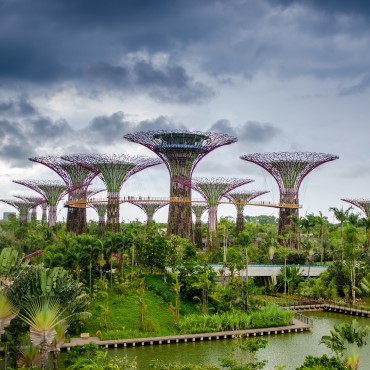 Singapore | Top 3 Borneo Malese