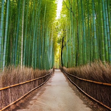 Arashiyama | Top 3 Giappone
