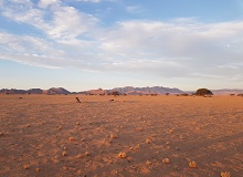 Paesaggi namibiani