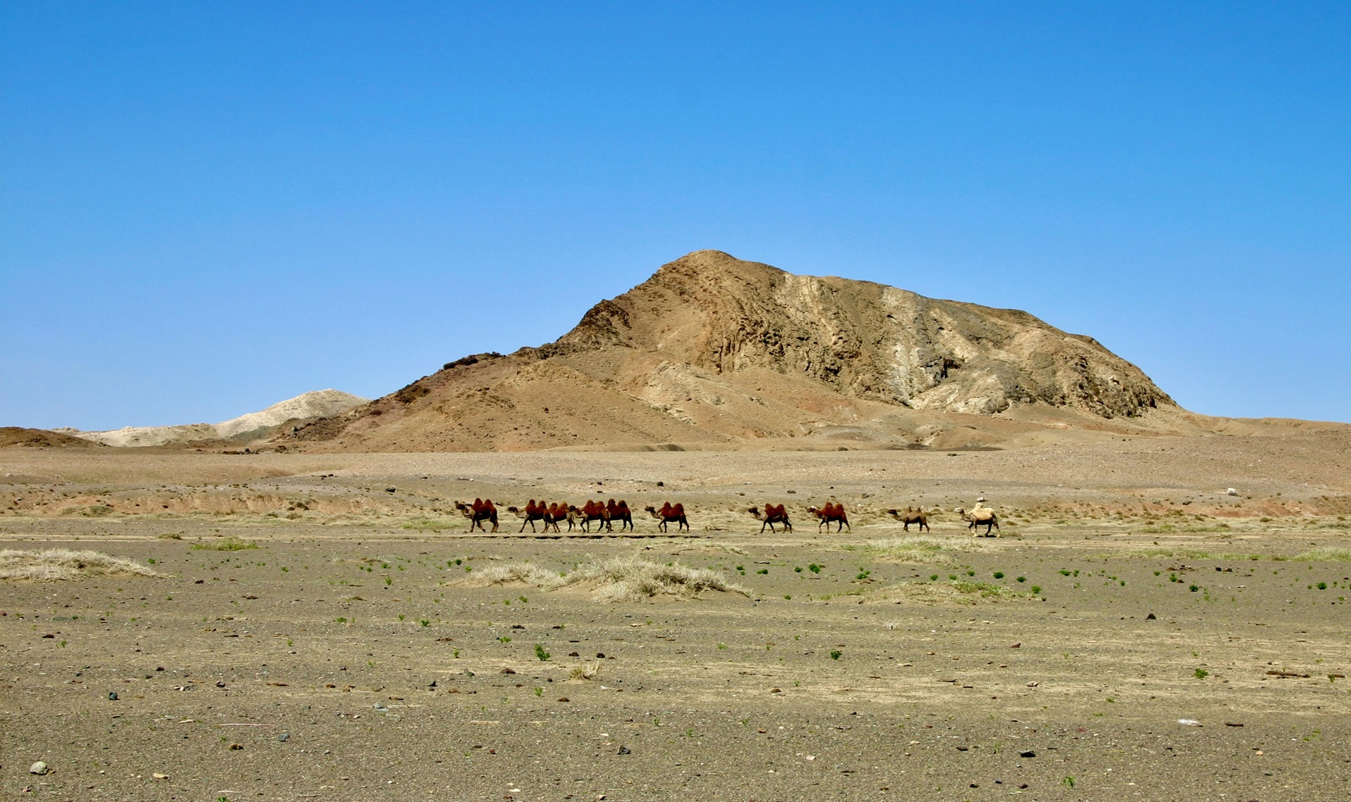 Deserto del Gobi | Peter Burdon on Unsplash | Viaggigiovani.it