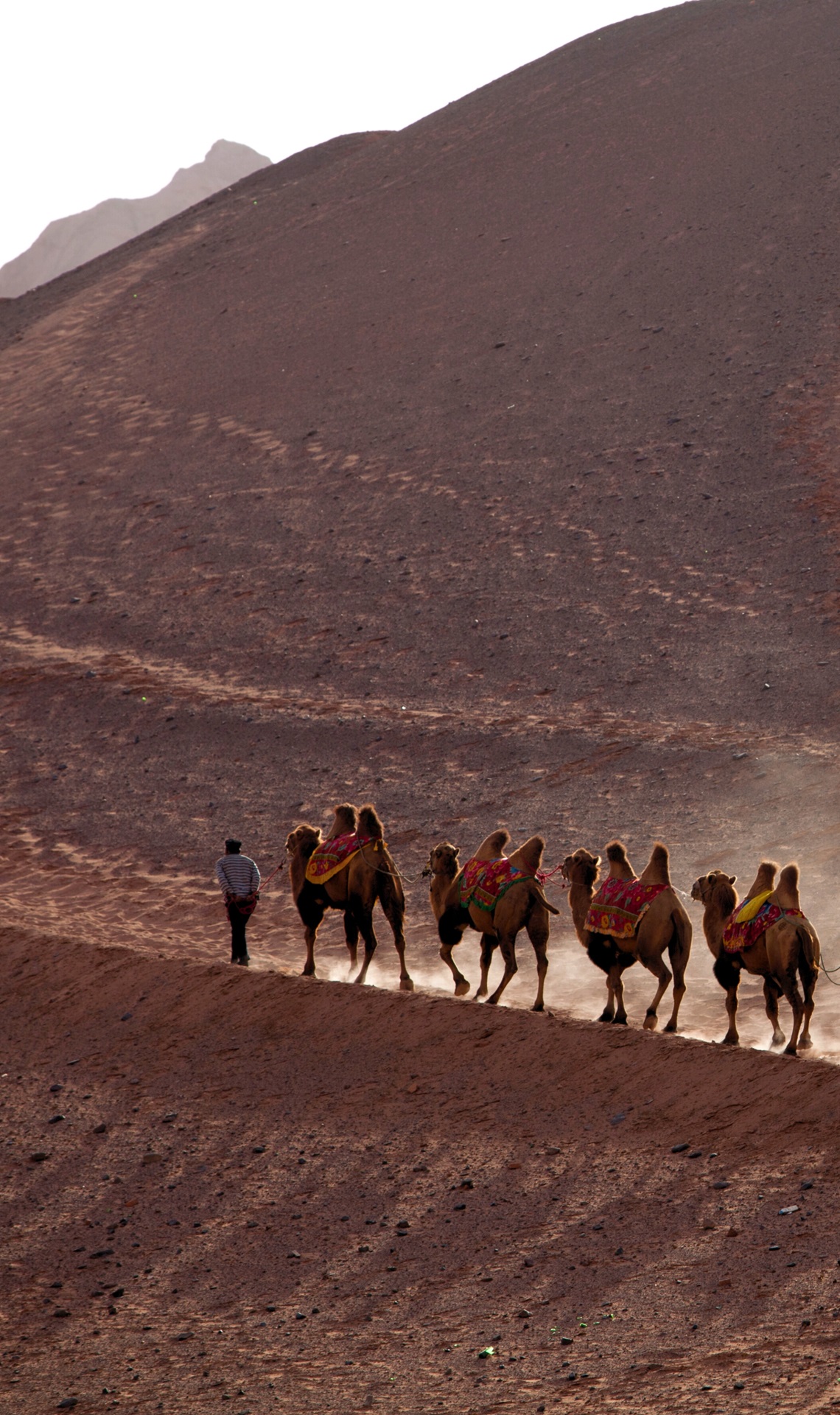 Xinjiang | Canva | Viaggigiovani.it