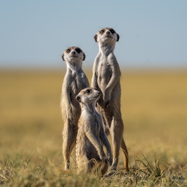 Botswana Original | Tour Piccoli Gruppi | #Botswana #viaggigiovani Botswana Original | Tour Piccoli Gruppi