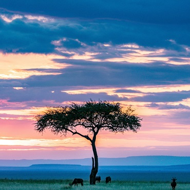 Kenya Safari e Mare | Viaggi su misura