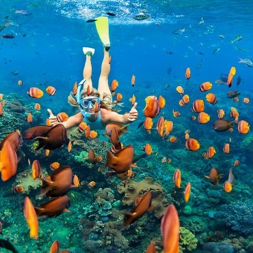 Snorkeling | Top 5 Maldive