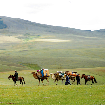 Nomani | Top 10 Mongolia