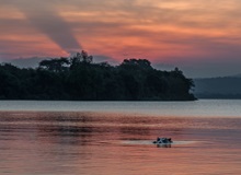 Parco Nazionale del Lago Mburo
