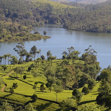 Lago nel Periyar National Park | Top 3 India Tamil e Kerala