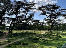 Maji Moto Maasai Cultural Camp