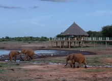 Manyatta Camp