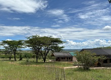 Oseki Maasai Mara Camp