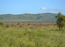 Taita Hills